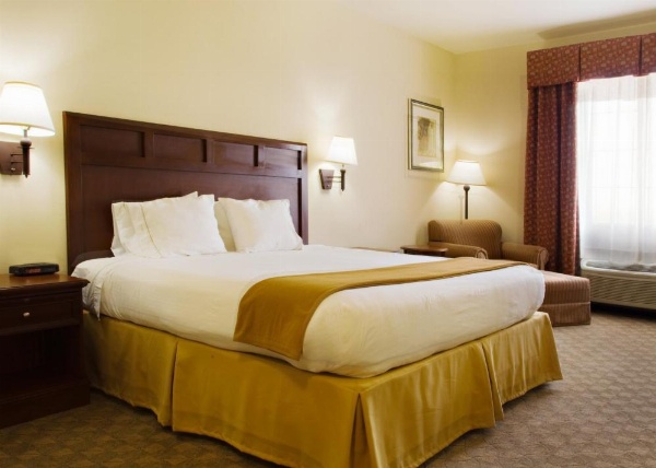 Holiday Inn Express Hotel & Suites Levelland image 19