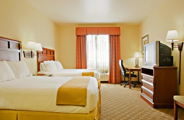 Holiday Inn Express Hotel & Suites Levelland image 7